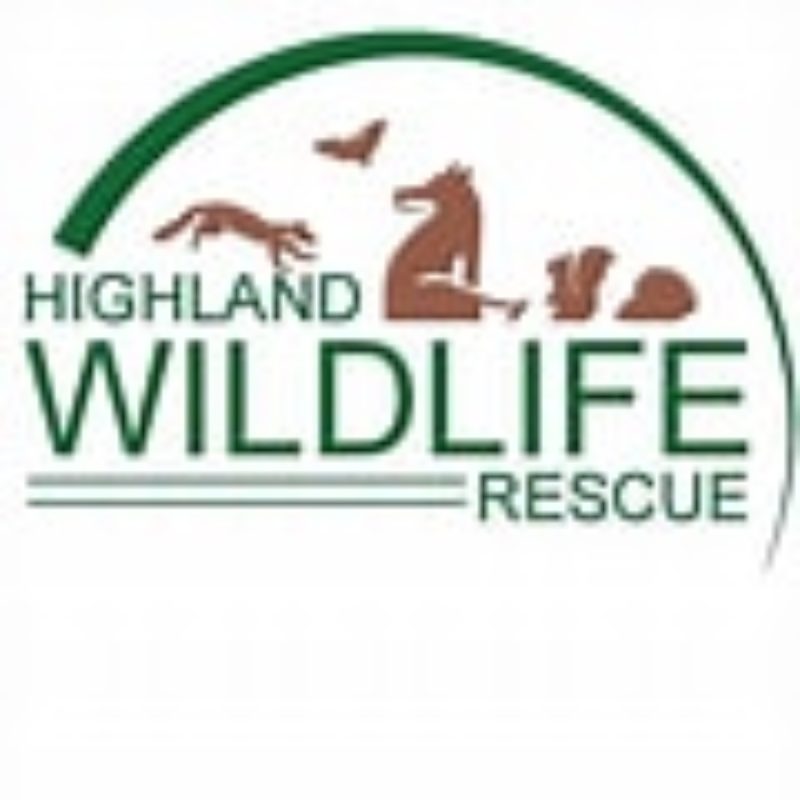 Photo of Highland Rescue Centre Quiz Night at Brora Golf Club 8pm